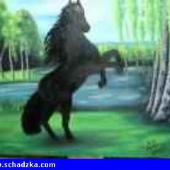 witam serdecznie mlody, przystojny,wyso…
