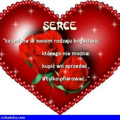 Może właśnie Ciebie szukam :)