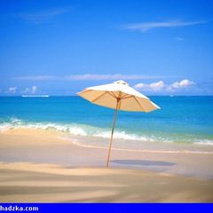 Luxury Vacation