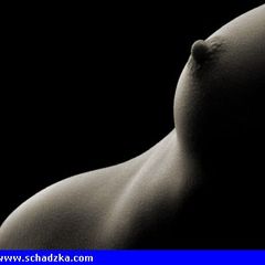 Slodka, malenka, filigranowa suczka szu…