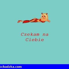 Witam! Czy znajdzie sie tutaj powazny P…