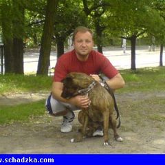 Przystojny,zdrowy,zadbany 36-latek,nieb…