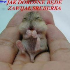 witaj!Pragnę spojrzeć w Twoje oczy i po…
