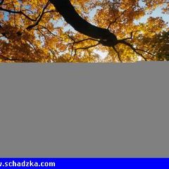 Przystojny,zdrowy,zadbany 39-latek,nieb…