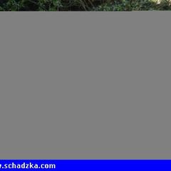 Poznam PANIA PARKE PANIE-Trans i AFRO n…