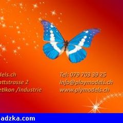 Szukam mlodych(18-25) slicznych lasecze…