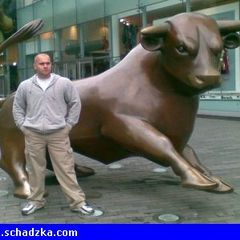 Poszukuje atrakcyjnej i rozsądnej dziew…
