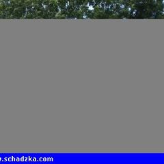 Witam drogie panie. Niepalący 39latek p…