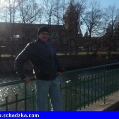 czesc dolocze do pzna lub pani za nie w…
