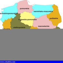 Wesoły i kulturalny 40-latek poszukuje...