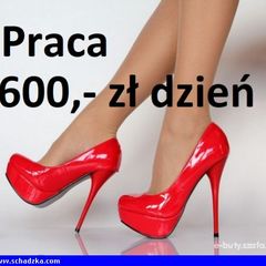 Zarobisz 600 zł dziennie. / 13000 tys. mieś.
