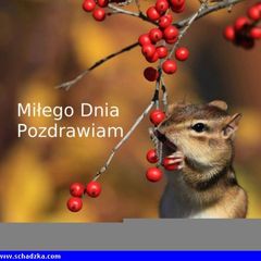 Niezobowiązująca znajomość, ale wyjątkowa ...