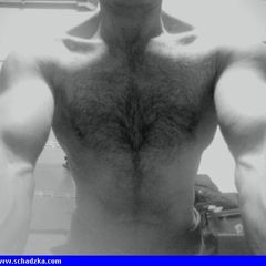 40Bi19cmWlkp