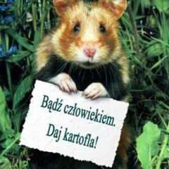 Jestem młodym chlopakiem szukajacym dzi…
